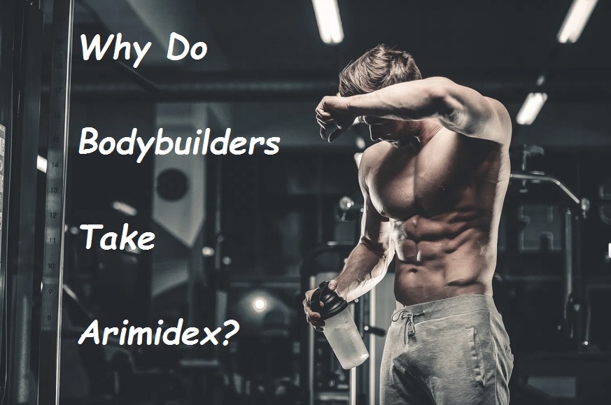 Why Do Bodybuilders Take Arimidex
