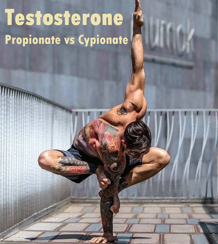 Testosterone-Propionate-Vs-Cypionate