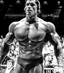 arnold-schwarzenegger-primobolan