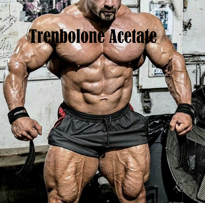 Trenbolone-Acetate-pharmacomlabs