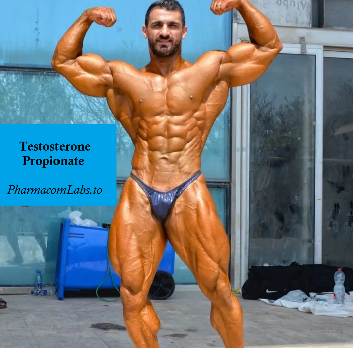 Testosterone-Propionate-growing-muscles-bb