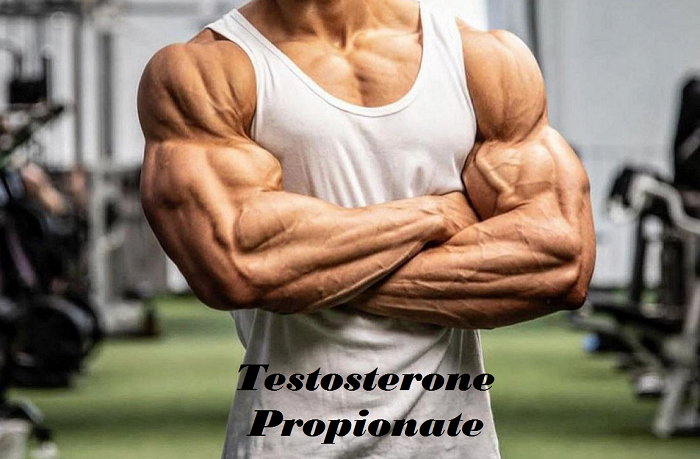 Testosterone-Propionate-pharmacomlabs